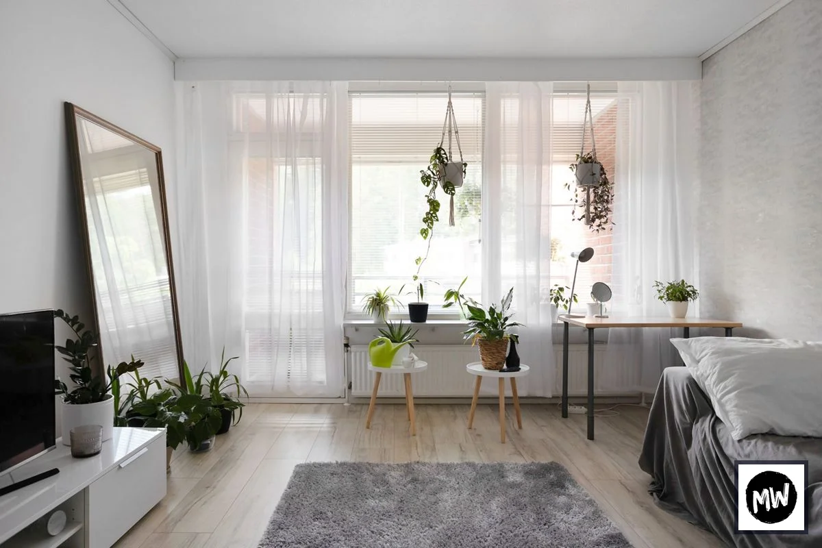 Best Indoor Plants for Small Apartments (2026)