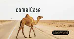 How to convert string to `camelCase` in Laravel