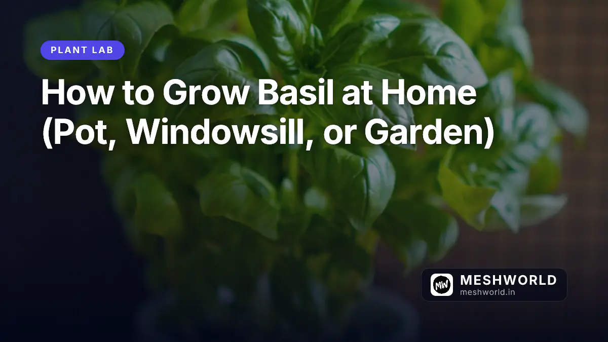 How to Grow Basil at Home (Pot, Windowsill, or Garden)