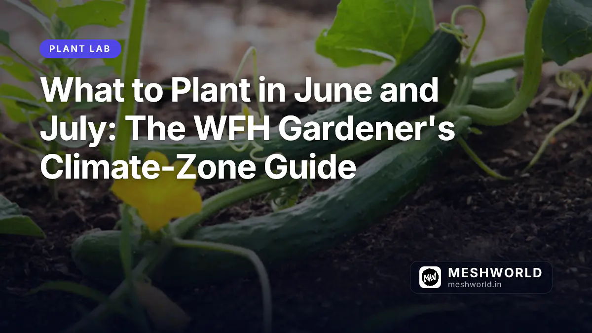 What to Plant in June and July: The WFH Gardener's Climate-Zone Guide