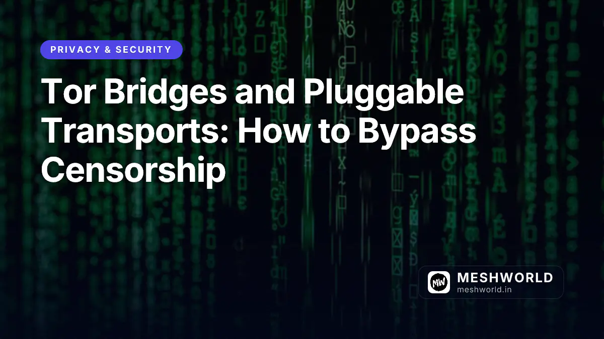 Tor Bridges and Pluggable Transports: How to Bypass Censorship