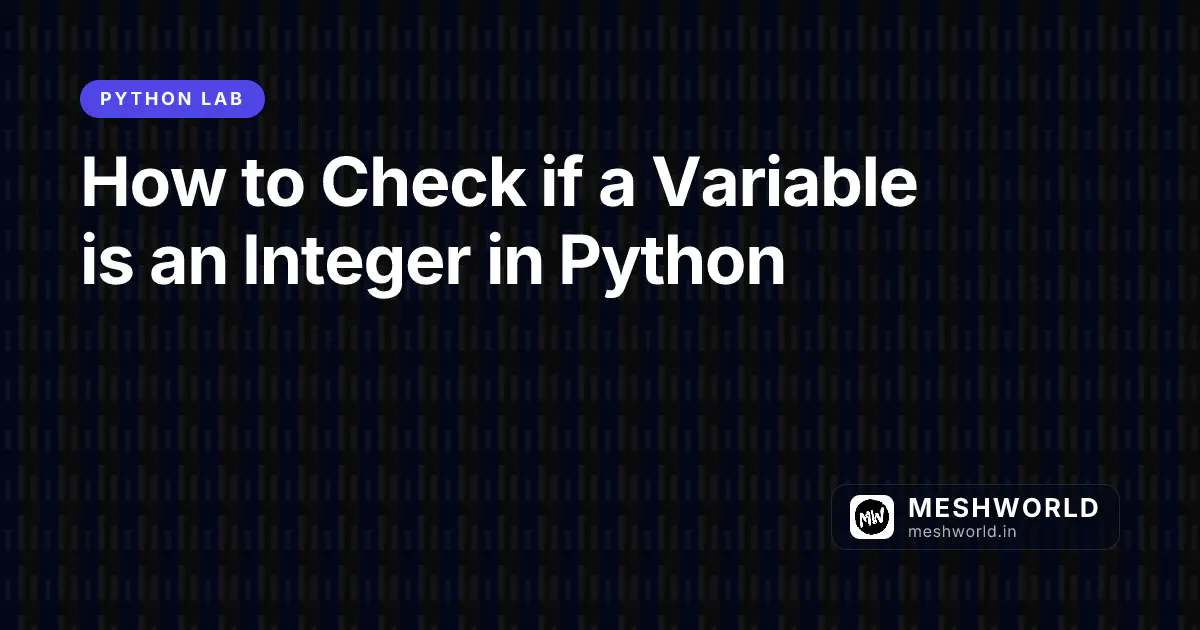 How to Check if a Variable is an Integer in Python
